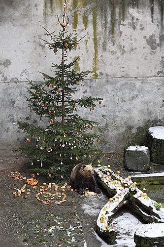 Advent und Weihnachten 2009 in Český Krumlov