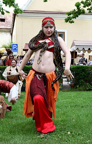 Slavnosti pětilisté růže, 24. ročník, 18. - 20. června 2010
