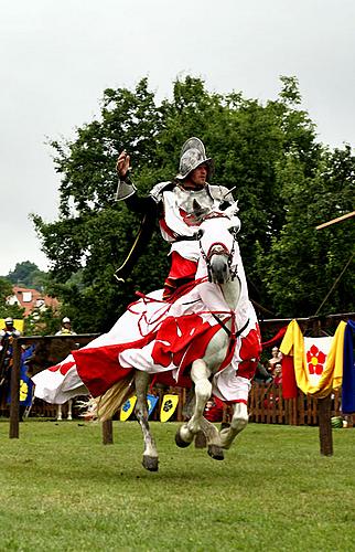 Slavnosti pětilisté růže, 24. ročník, 18. - 20. června 2010