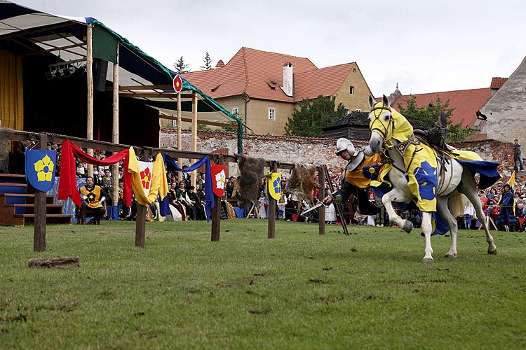 Fest der fünfblättrigen Rose, 24. Jahrgang, 18. - 20. Juni 2010