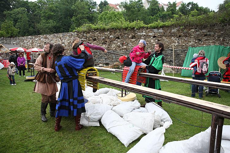 Fest der fünfblättrigen Rose, 24. Jahrgang, 18. - 20. Juni 2010