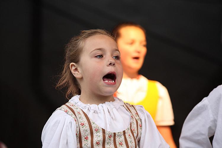 Saint Wenceslas Celebrations and International Folk Music Festival 2010 in Český Krumlov