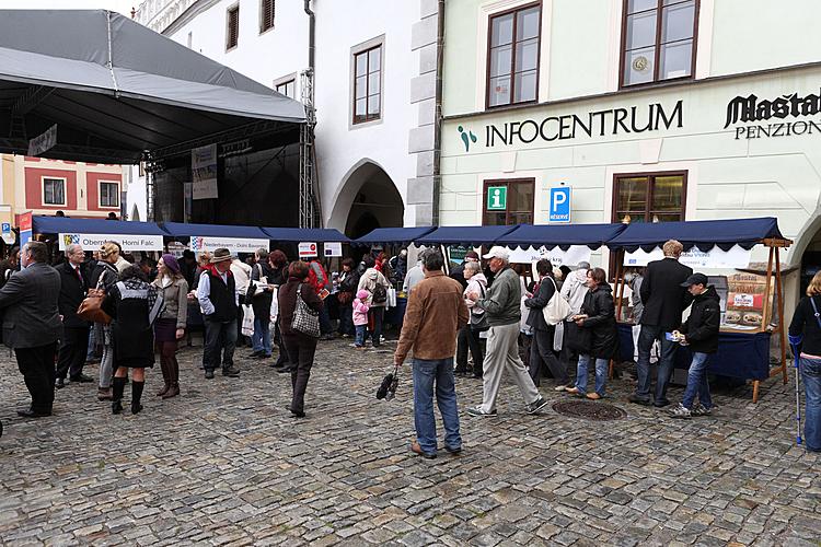 Program evropského regionu Dunaj-Vltava, Svatováclavské slavnosti 2010 v Českém Krumlově