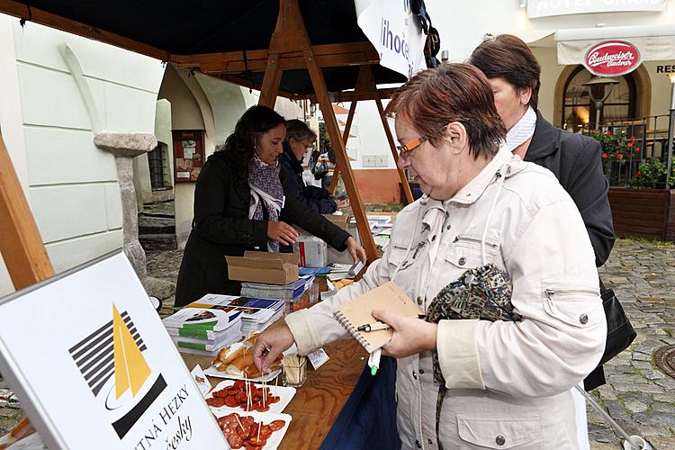 Program evropského regionu Dunaj-Vltava, Svatováclavské slavnosti 2010 v Českém Krumlově