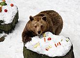 Beary Christmas, Advent and Christmas in Český Krumlov 2010, photo by: Lubor Mrázek