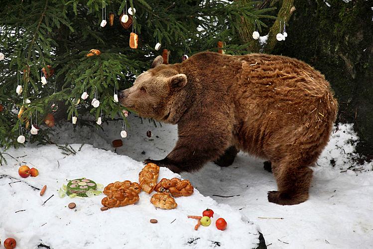 Bärenweihnachten, Advent und Weihnachten in Český Krumlov 2010