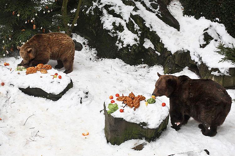 Medvědí Vánoce, Advent a Vánoce v Českém Krumlově 2010