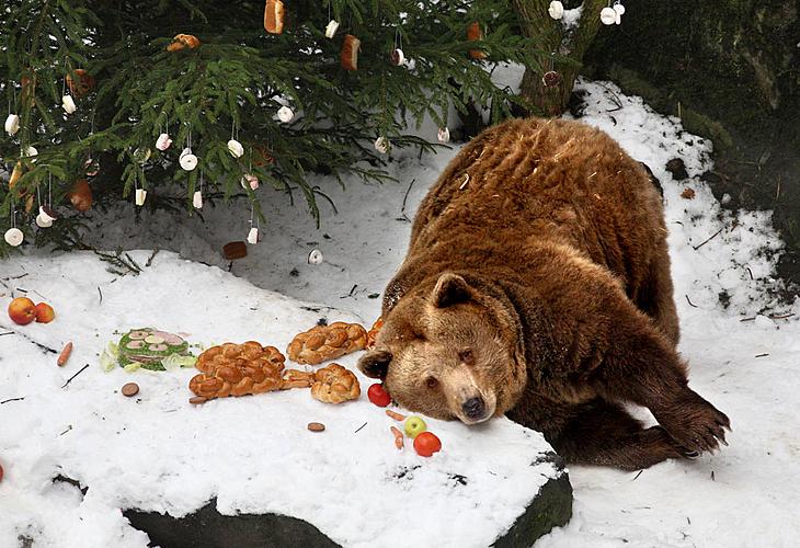 Medvědí Vánoce, Advent a Vánoce v Českém Krumlově 2010