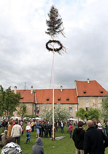 Gemeinsames Maibaumschmücken und Maibaumaufstellen, Feuerentzündung, Zauberhaftes Krumlov 30.4.2011