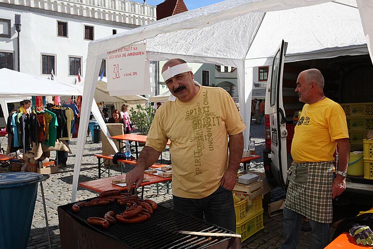 Tag mit Handicap - Tag ohne Barrieren Český Krumlov, 10.9.2011