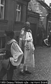 Five-Petalled Rose Celebrations 1969, photo by: Jan Šimeček