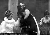 Five-Petalled Rose Celebrations 1969, photo by: Jan Šimeček