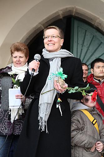 Carnival parade in Český Krumlov, 21st February 2012