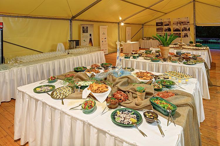 Balkánský hudebně-gastronomický večer - Boban i Marković Orkestar, Džezvica, 4.8.2012, 21. Mezinárodní hudební festival Český Krumlov