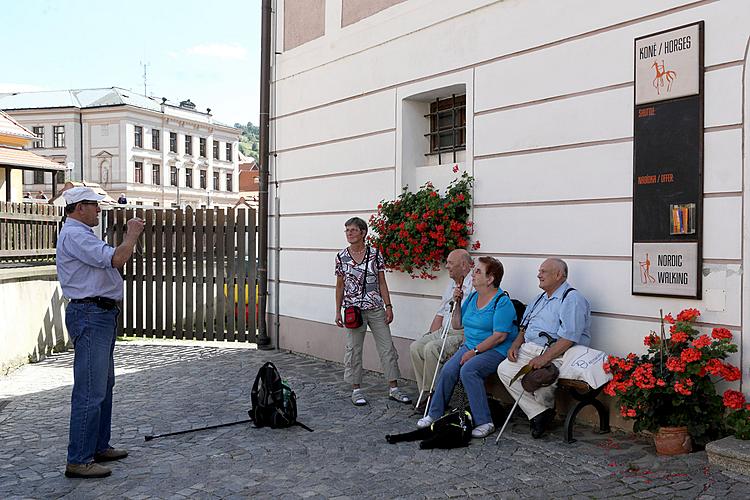 Disability Day - Day without Barriers 2012