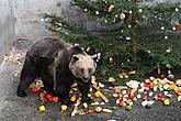 Beary Christmas in  Český Krumlov 24.12.2011, photo by: Lubor Mrázek