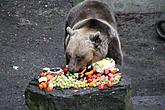 Beary Christmas in  Český Krumlov 24.12.2011, photo by: Lubor Mrázek