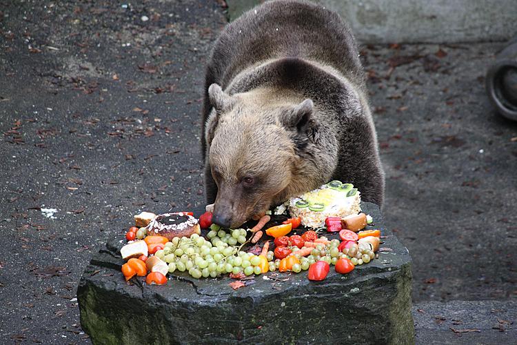 Beary Christmas in  Český Krumlov 24.12.2011