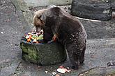 Beary Christmas in  Český Krumlov 24.12.2011, photo by: Lubor Mrázek