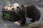 Beary Christmas in  Český Krumlov 24.12.2011, photo by: Lubor Mrázek