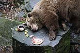 Beary Christmas in  Český Krumlov 24.12.2011, photo by: Lubor Mrázek