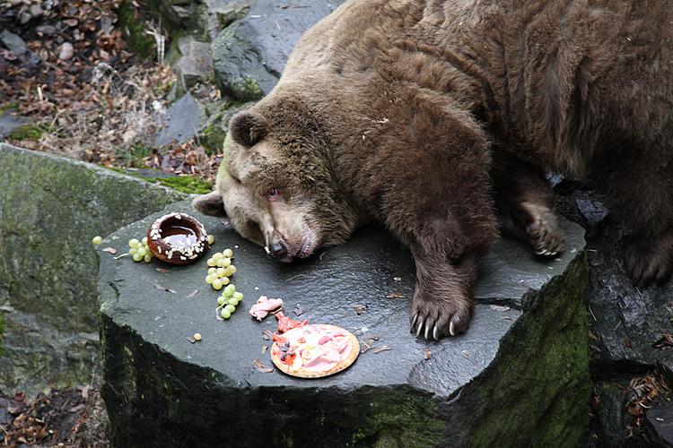 Beary Christmas in  Český Krumlov 24.12.2011