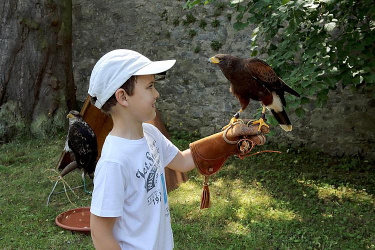 Slavnosti pětilisté růže ®, Český Krumlov, 22.6.2013