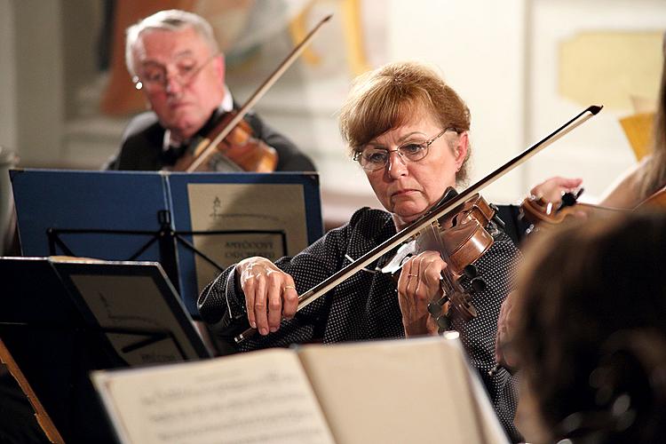 Streichorchester Český Krumlov und Jan Fišer, 3.7.2013, Kammermusikfestival Český Krumlov