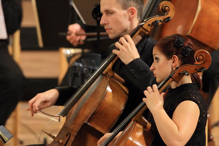 Adam Plachetka (basbaryton) & Talichova komorní filharmonie, Mezinárodní hudební festival Český Krumlov, 9.8.2013