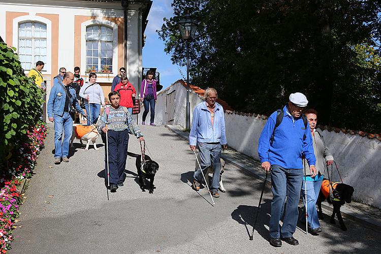 Disability Day - Day without Barriers 14.9.2013