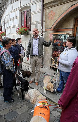 Den s handicapem - Den bez bariér 14.9.2013