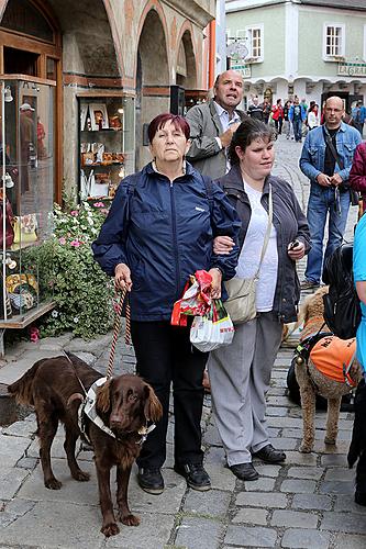 Den s handicapem - Den bez bariér 14.9.2013