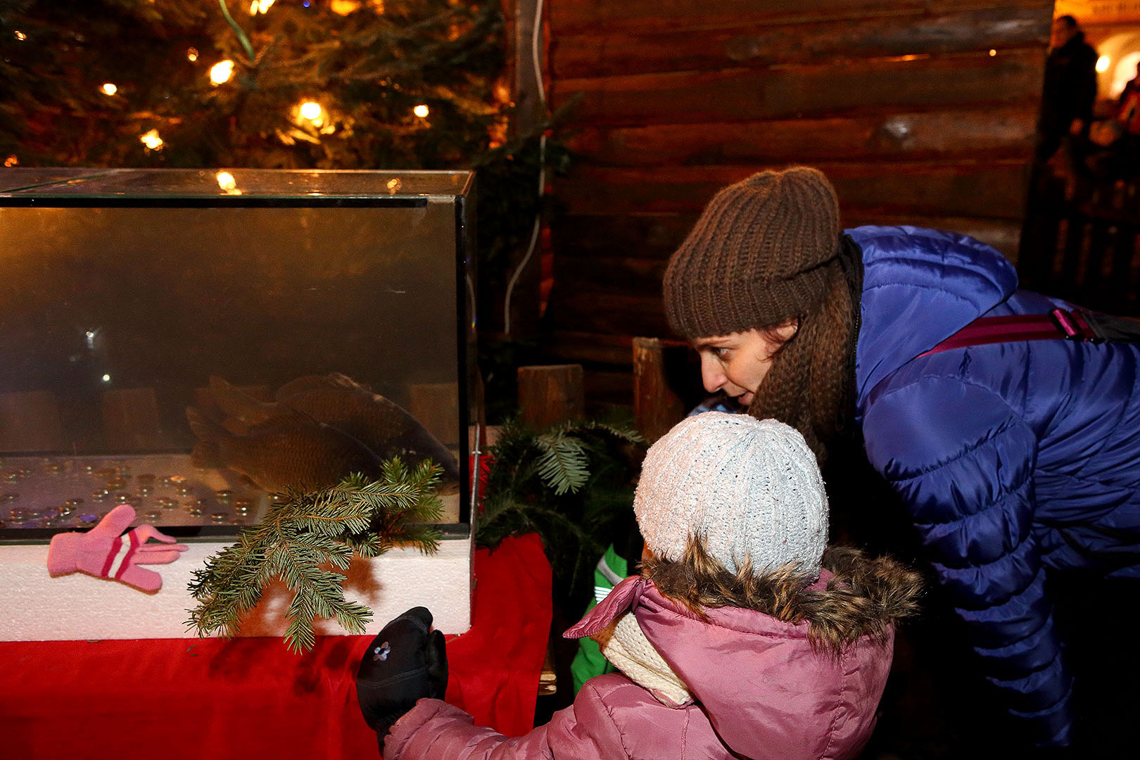 1st Advent Sunday - Musical and Poetical Opening of Advent and Lighting of the Christmas Tree, 1.12.2013