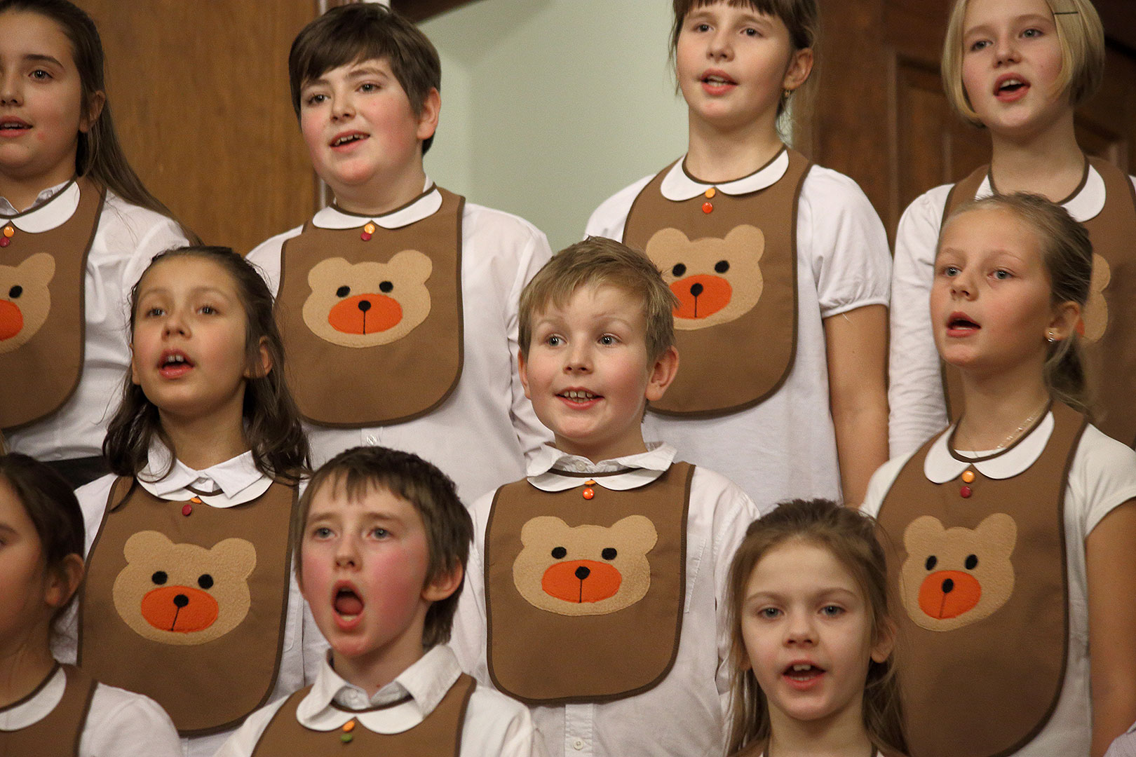 Bringing You the News - Concert by Brumlíci and their guests, Artistic Elementary School Český Krumlov, 19.12.2013