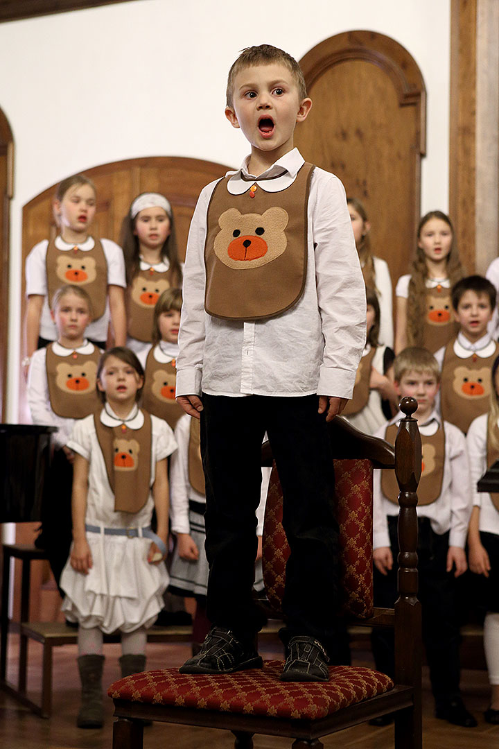 Nesem vám noviny - koncert Brumlíků a hostů, ZUŠ Český Krumlov, 19.12.2013