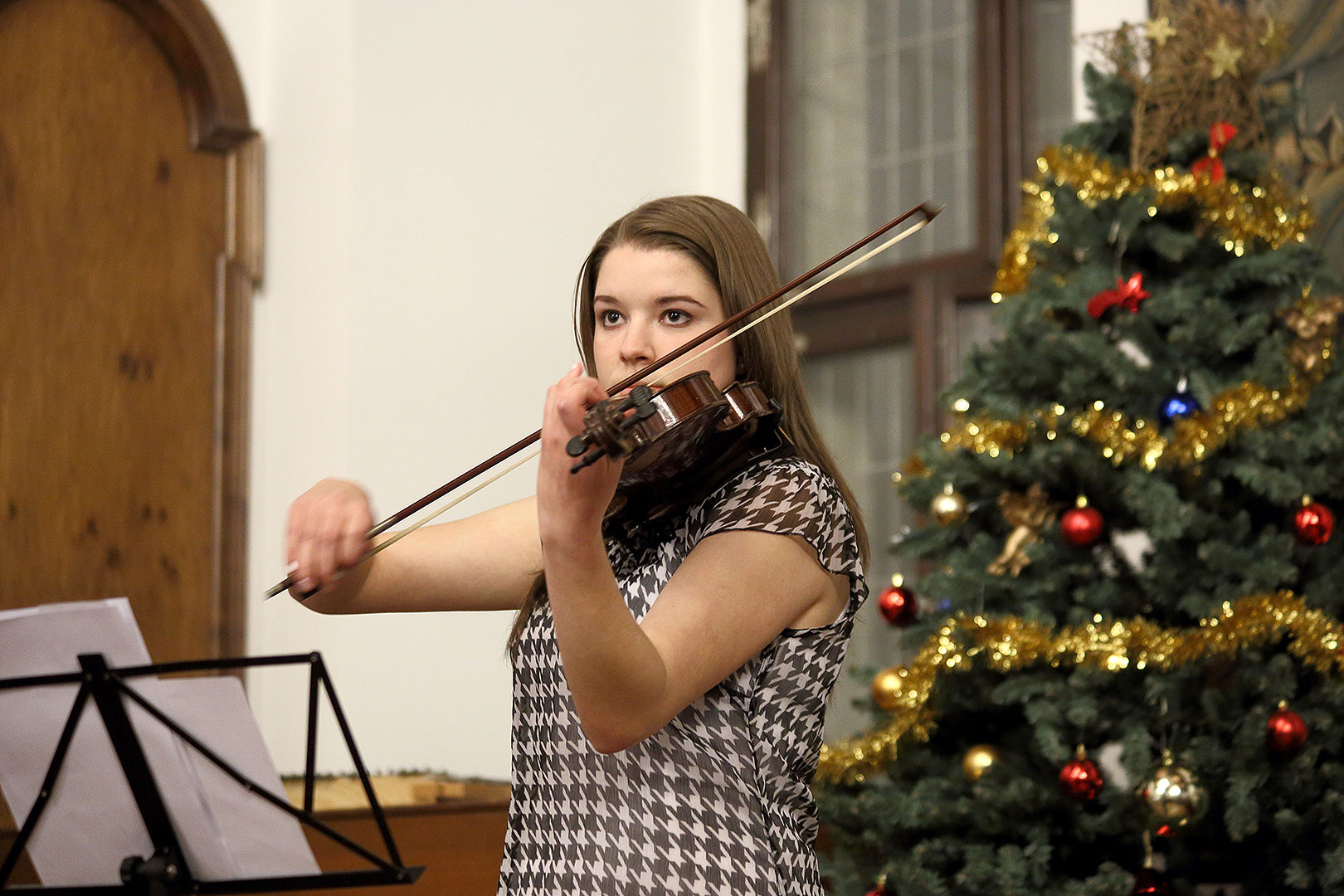 Bringing You the News - Concert by Brumlíci and their guests, Artistic Elementary School Český Krumlov, 19.12.2013