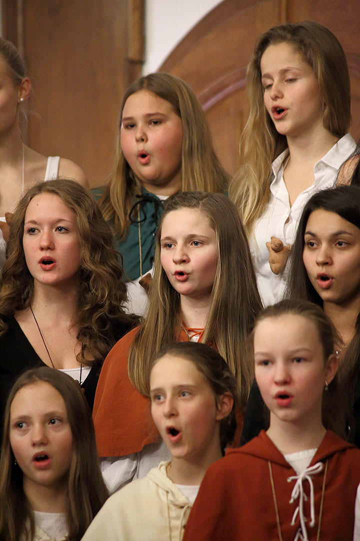 Die Zeit der Freude und Fröhlichkeit - Konzert des Ensembles Medvíďata, Kunstschule ZUŠ Český Krumlov, 22.12.2013