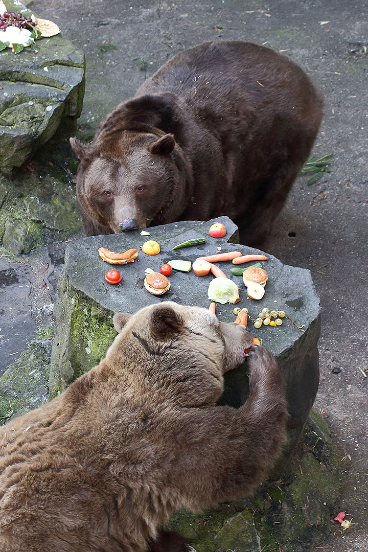 Christmas Eve - Bear Christmas, 24.12.2013