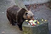 Christmas Eve - Bear Christmas, 24.12.2013, photo by: Lubor Mrázek