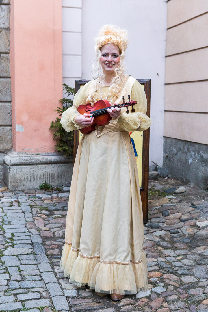 Carnival parade in Český Krumlov,  4th March 2014