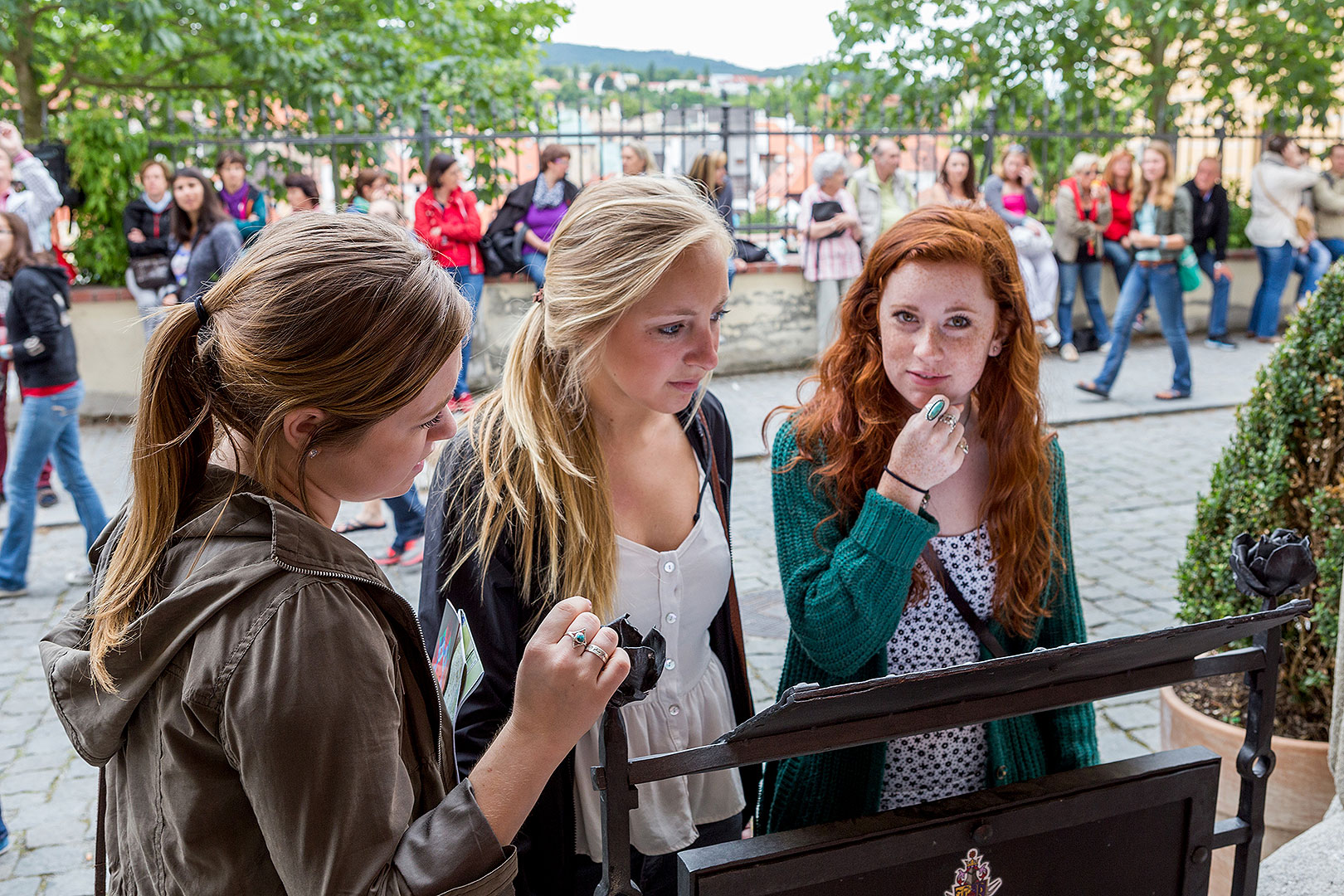 Fest der fünfblättrigen Rose ®, Samstag 21. 6. 2014