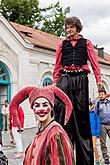 Fest der fünfblättrigen Rose ®, Samstag 21. 6. 2014, Foto: Lubor Mrázek