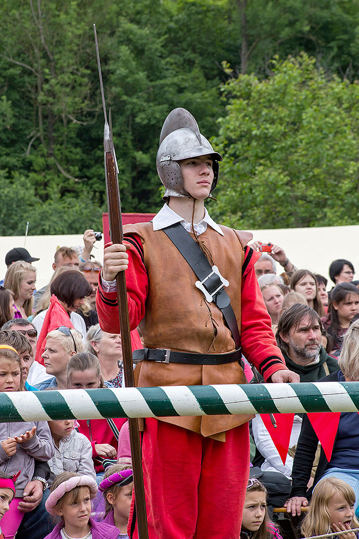 Fest der fünfblättrigen Rose ®, Samstag 21. 6. 2014