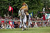 Slavnosti pětilisté růže ®, sobota 21. 6. 2014, foto: Lubor Mrázek