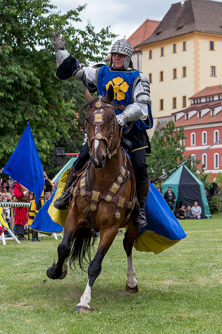 Fest der fünfblättrigen Rose ®, Samstag 21. 6. 2014