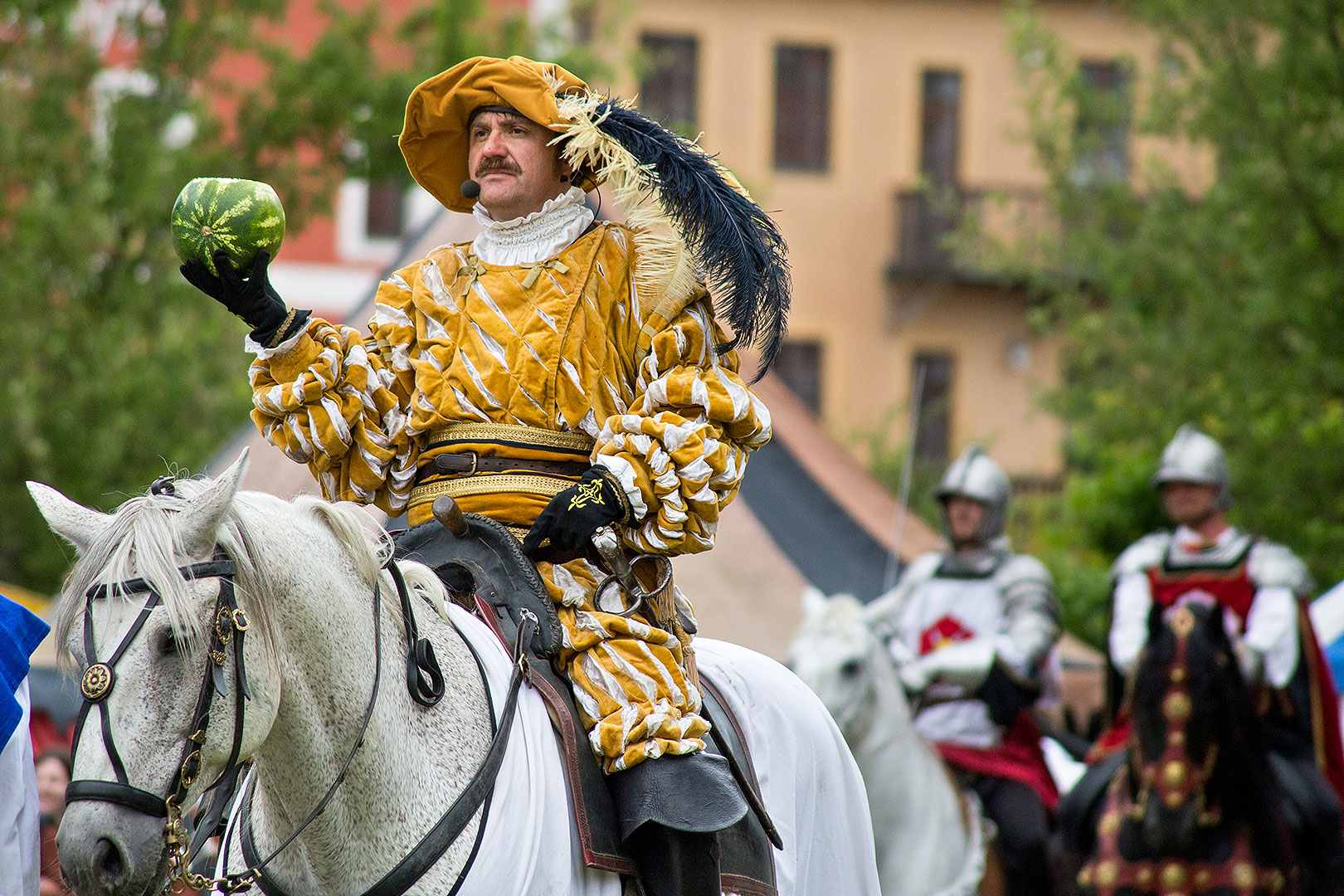 Fest der fünfblättrigen Rose ®, Samstag 21. 6. 2014