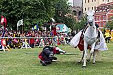 Slavnosti pětilisté růže ®, sobota 21. 6. 2014, foto: Lubor Mrázek