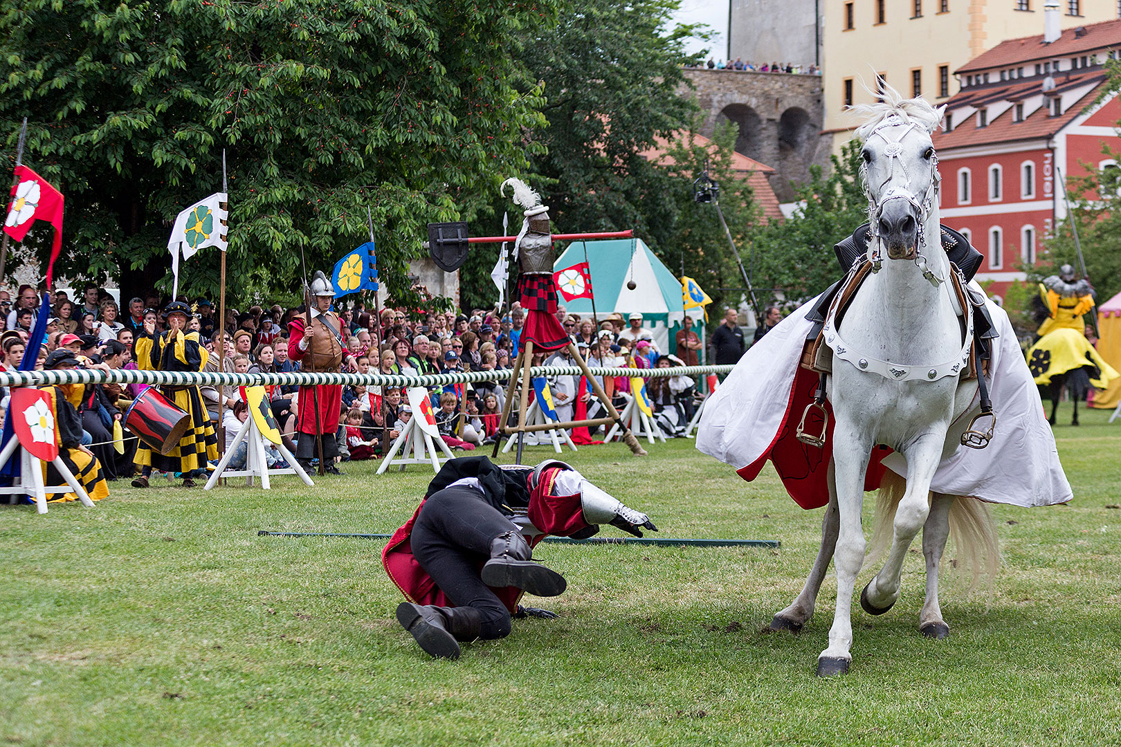 Fest der fünfblättrigen Rose ®, Samstag 21. 6. 2014