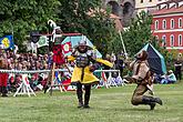 Slavnosti pětilisté růže ®, sobota 21. 6. 2014, foto: Lubor Mrázek