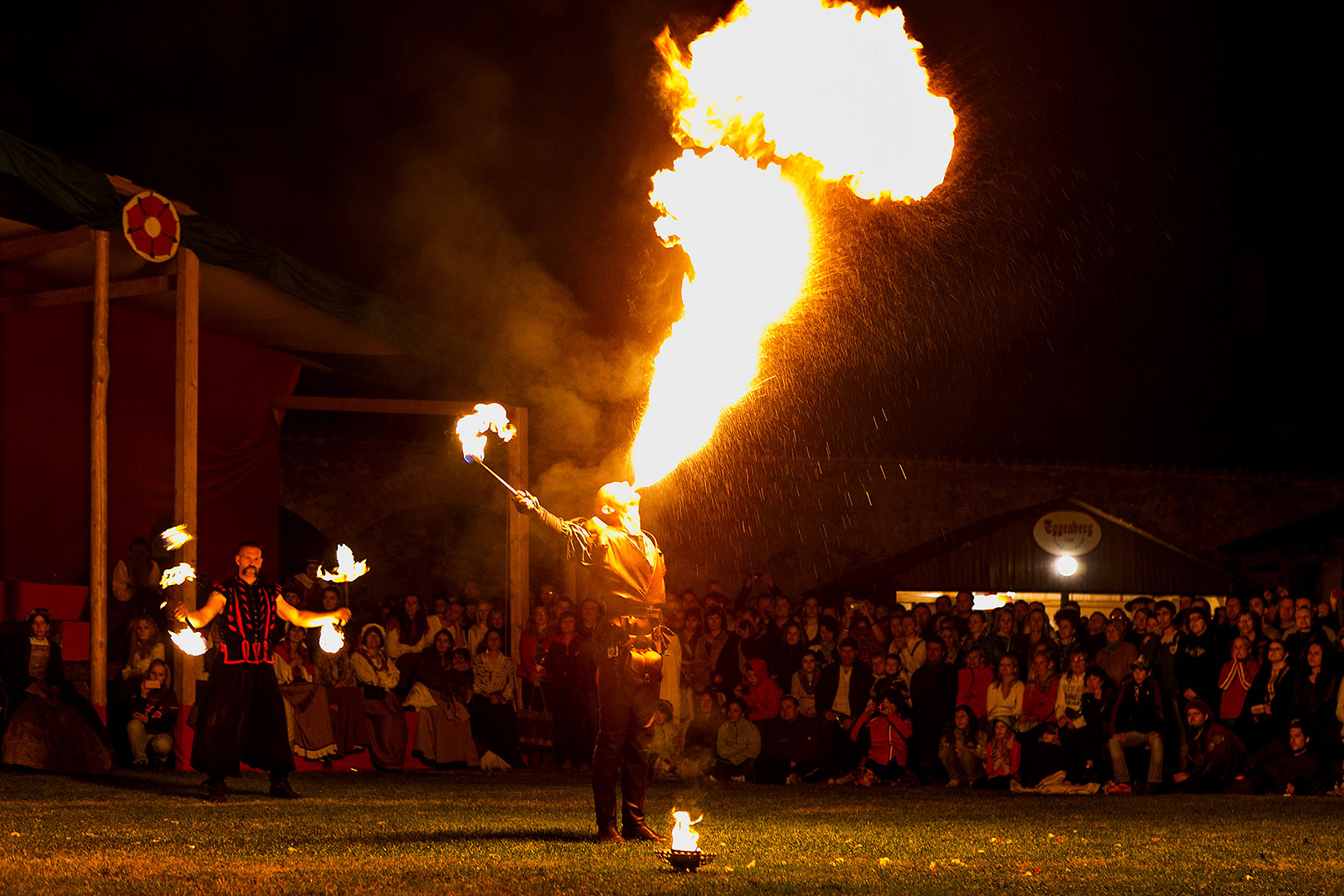 Fest der fünfblättrigen Rose ®, Samstag 21. 6. 2014